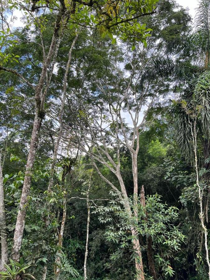 Sitio Serenar Chales Equipados Penedo  Esterno foto